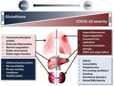 Paracetamol-Induced Glutathione Consumption: Is There a Link With Severe COVID-19 Illness?